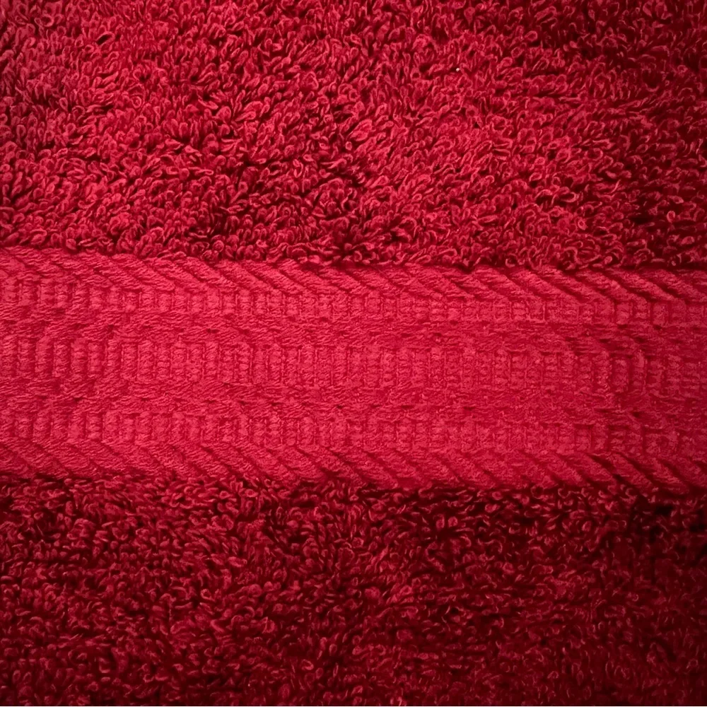 NWOT Set of 100%Cotton Hand Towels